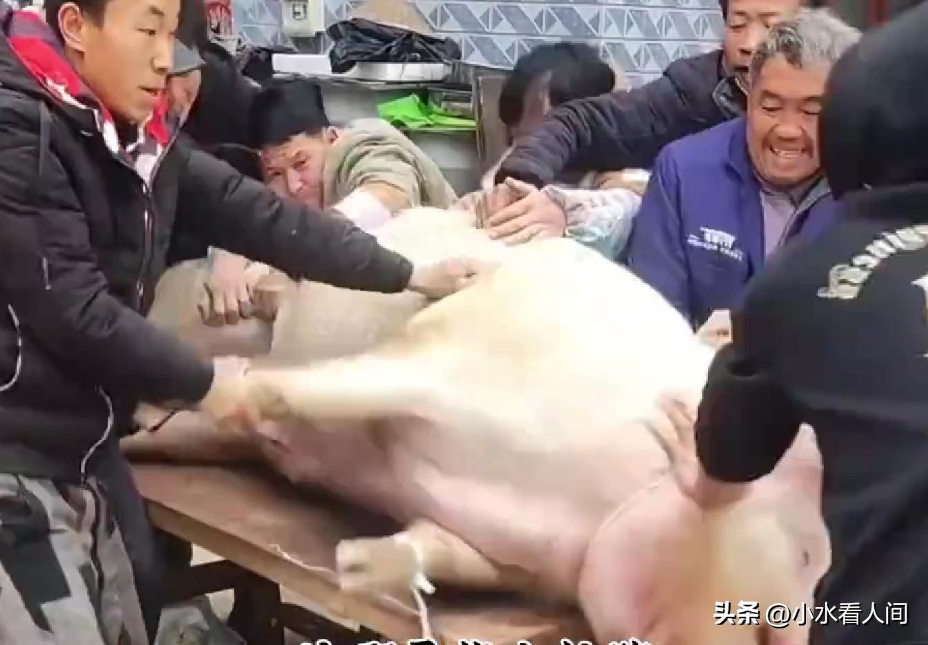 开云APP-呆呆赢麻了！直播收入惊人，榜一大哥上门邀约，相亲对象后悔莫及