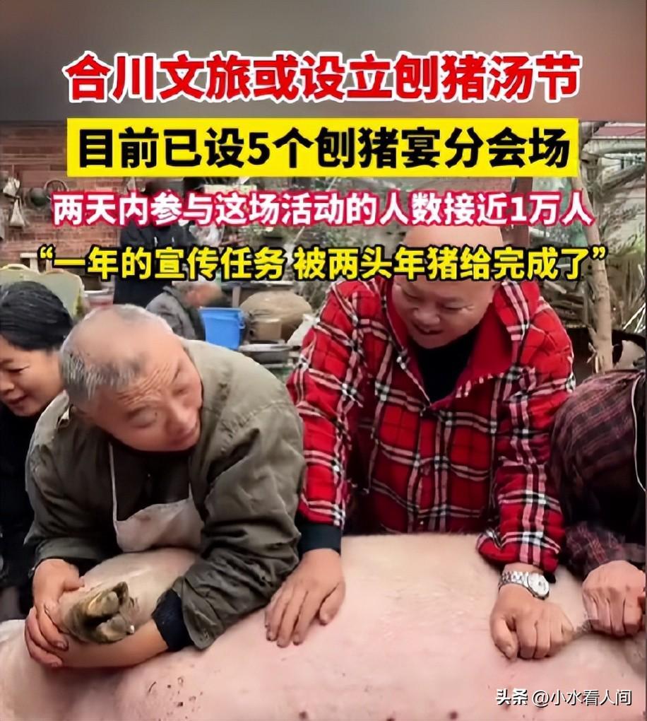 开云APP-呆呆赢麻了！直播收入惊人，榜一大哥上门邀约，相亲对象后悔莫及